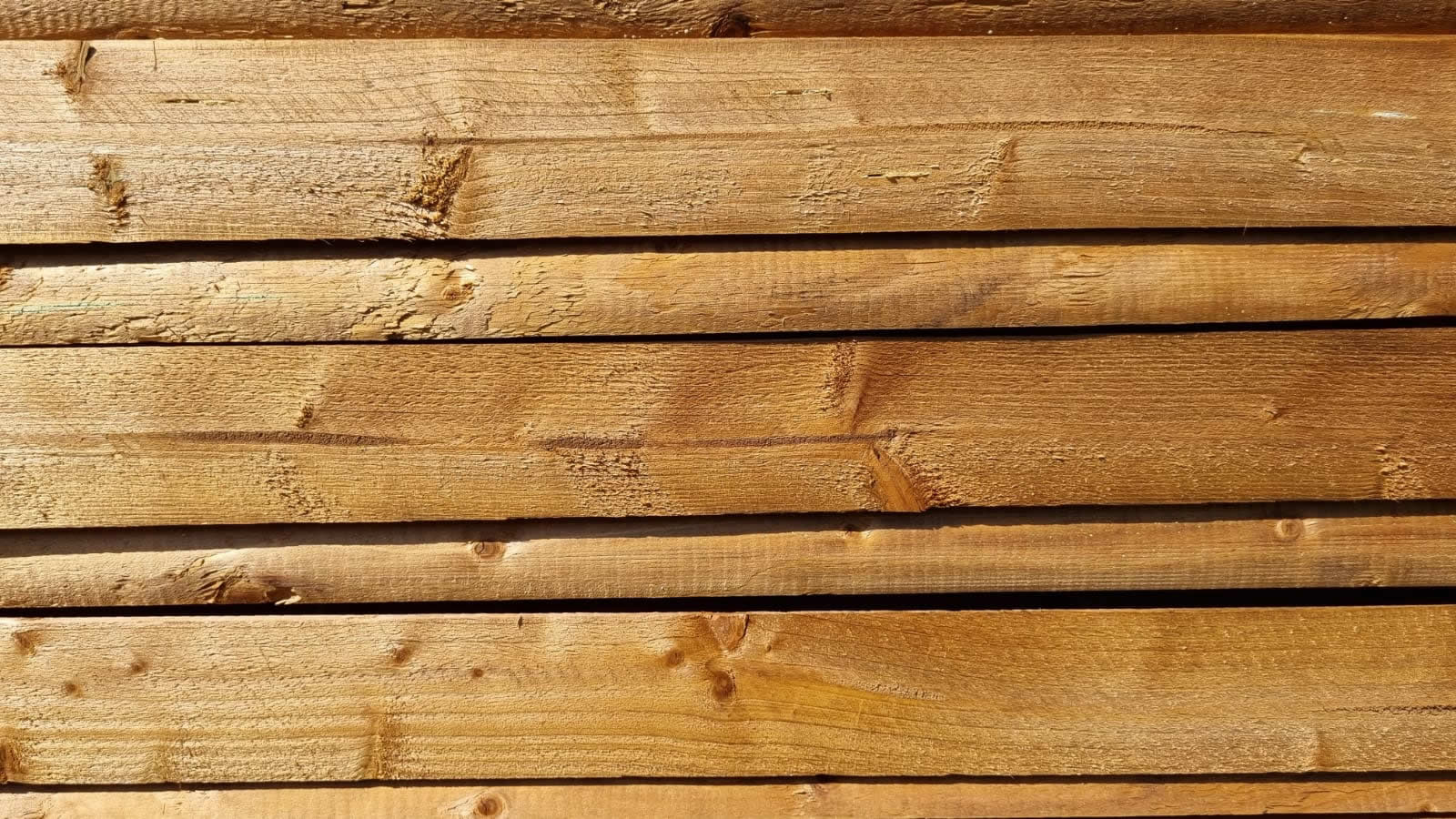 leistungen-sektion8-img-20210816-wa0004